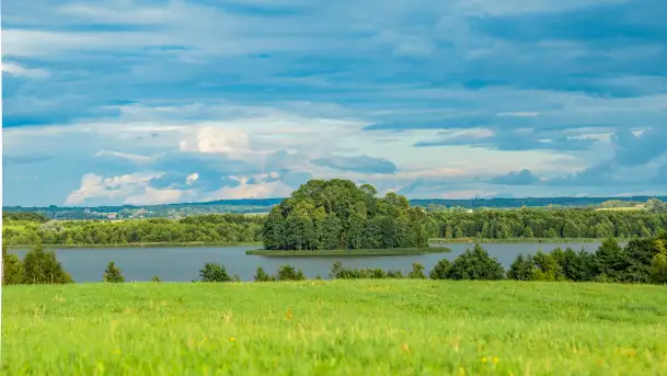 Rezerwat przyrody Oświn - zdjęcie 6