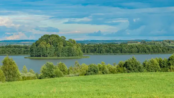 Rezerwat przyrody Oświn - zdjęcie 8