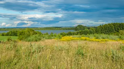Rezerwat przyrody Oświn