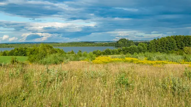 Rezerwat przyrody Oświn - zdjęcie 1