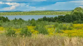 Rezerwat przyrody Oświn - zdjęcie 10