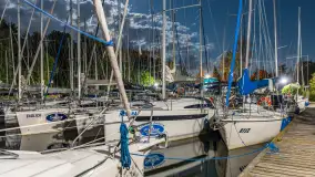 Nocne zdjęcia w porcie Sailor, Piękna Góra, sierpień 2026 r. - zdjęcie 7