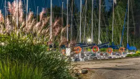 Nocne zdjęcia w porcie Sailor, Piękna Góra, sierpień 2026 r. - zdjęcie 16