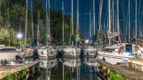 Nocne zdjęcia w porcie Sailor, Piękna Góra, sierpień 2026 r. - zdjęcie 15