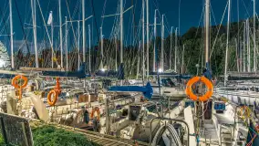Nocne zdjęcia w porcie Sailor, Piękna Góra, sierpień 2026 r. - zdjęcie 13