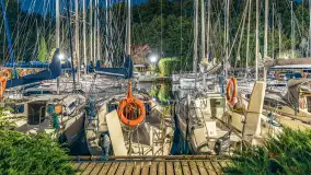 Nocne zdjęcia w porcie Sailor, Piękna Góra, sierpień 2026 r. - zdjęcie 23