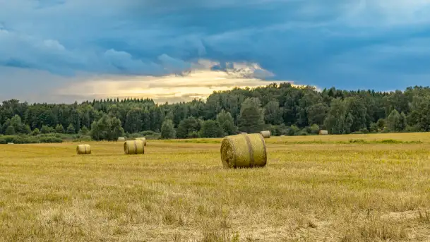 Wrzesień na Mazurach  - zdjęcie 11