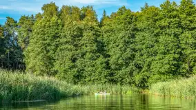 Spływ kajakiem - PTTK Ukta - Nowy Most, sierpień 2026 r. - zdjęcie 76
