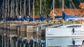 Nocna wersja portu Pod Dębem, wrzesień 2026 r. - zdjęcie 14