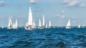 Fotorelacja z Antila Cup 2026 cz. I, wrzesień 2026 r. - zdjęcie 39