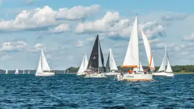 Fotorelacja z Antila Cup 2026 cz. I, wrzesień 2026 r. - zdjęcie 87