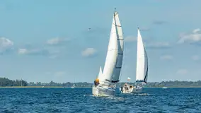 Fotorelacja z Antila Cup 2026 cz. I, wrzesień 2026 r. - zdjęcie 223