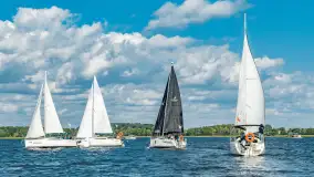 Fotorelacja z Antila Cup 2026 cz. II, wrzesień 2026 r. - zdjęcie 6
