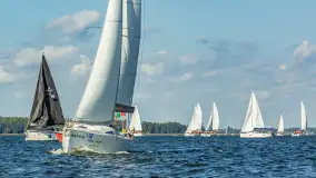 Fotorelacja z Antila Cup 2026 cz. II, wrzesień 2026 r. - zdjęcie 13