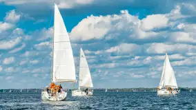 Fotorelacja z Antila Cup 2026 cz. II, wrzesień 2026 r. - zdjęcie 56