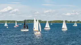 Fotorelacja z Antila Cup 2026 cz. II, wrzesień 2026 r. - zdjęcie 75