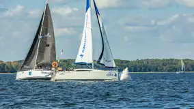 Fotorelacja z Antila Cup 2026 cz. II, wrzesień 2026 r. - zdjęcie 76