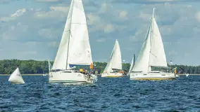 Fotorelacja z Antila Cup 2026 cz. II, wrzesień 2026 r. - zdjęcie 47