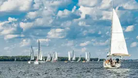 Fotorelacja z Antila Cup 2026 cz. II, wrzesień 2026 r. - zdjęcie 100
