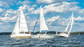 Fotorelacja z Antila Cup 2026 cz. II, wrzesień 2026 r. - zdjęcie 137