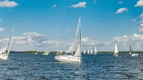 Fotorelacja z Antila Cup 2026 cz. II, wrzesień 2026 r. - zdjęcie 208