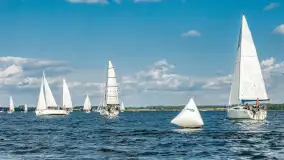 Fotorelacja z Antila Cup 2026 cz. II, wrzesień 2026 r. - zdjęcie 215
