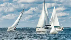Fotorelacja z Antila Cup 2026 cz. II, wrzesień 2026 r. - zdjęcie 221