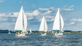 Fotorelacja z Antila Cup 2026 cz. II, wrzesień 2026 r. - zdjęcie 226