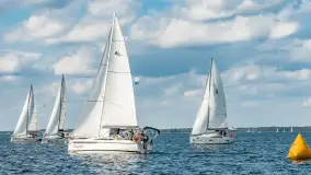 Fotorelacja z Antila Cup 2026 cz. II, wrzesień 2026 r. - zdjęcie 228