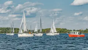 Fotorelacja z Antila Cup 2026 cz. II, wrzesień 2026 r. - zdjęcie 276