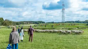 Fotorelacja - V Redyk Mazurski, Sołdany, wrzesień 2026 r. - zdjęcie 153