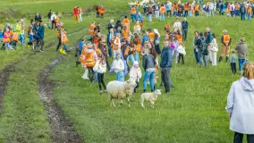 Fotorelacja - V Redyk Mazurski, Sołdany, wrzesień 2026 r. - zdjęcie 141