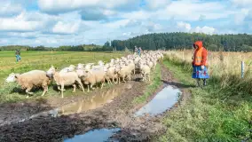 Fotorelacja - V Redyk Mazurski, Sołdany, wrzesień 2026 r. - zdjęcie 105