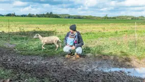Fotorelacja - V Redyk Mazurski, Sołdany, wrzesień 2026 r. - zdjęcie 236