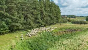 Fotorelacja - V Redyk Mazurski, Sołdany, wrzesień 2026 r. - zdjęcie 200