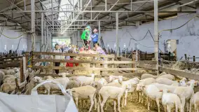 Fotorelacja - V Redyk Mazurski, Sołdany, wrzesień 2026 r. - zdjęcie 212