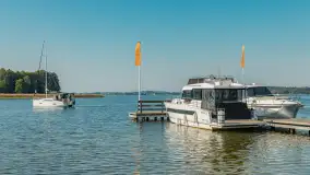 Dyniowy port... w porcie Ognisty Ptak, październik 2026 r. - zdjęcie 42