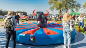 Dyniowy port... w porcie Ognisty Ptak, październik 2026 r. - zdjęcie 38