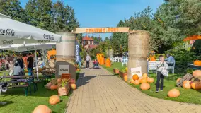 Dyniowy port... w porcie Ognisty Ptak, październik 2026 r. - zdjęcie 24