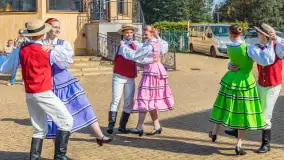 Dyniowy port... w porcie Ognisty Ptak, październik 2026 r. - zdjęcie 33