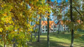 Jesień w Wilkasach z lotu ptaka, październik 2026 r. - zdjęcie 13
