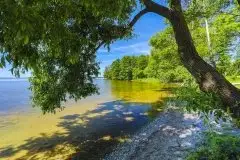 Zdjęcia: Nowy Harsz – prawie nowe i mega nietypowe miejsce - zdjęcie 12