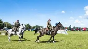 Zdjęcia: Zimnokrwiste rozgrzały serca publiczności - zdjęcie 17
