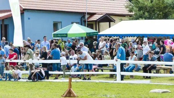 Zdjęcia: Zimnokrwiste rozgrzały serca publiczności - zdjęcie 10