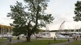 Zdjęcia: Żukowska, Korycki i Sztynort - trio doskonałe  - zdjęcie 10