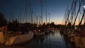 Zdjęcia: Kwartet Kuby Kokochy na scenie pod chmurką - zdjęcie 4