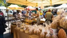 Zdjęcia: Kultura i sztuka ludowa w pełnej krasie - zdjęcie 34