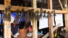 Zdjęcia: STN:ORT Pałac Festiwal. Niesamowite spotkania w historycznym miejscu - zdjęcie 22