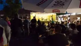 Zdjęcia: Szanty, irlandzki folk i bluegrass na sztynorckiej scenie  - zdjęcie 3