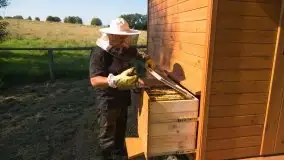 Zdjęcia: Odwiedzamy leśną pasiekę, czyli Mazury na słodko - zdjęcie 20